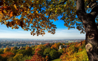 City hill autumn trees blue - a view of a city free wallpaper