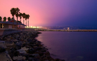 Purple sky water palm trees - mystical free wallpaper