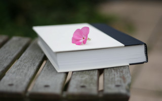 Pink flower on book outdoor 2 - a book free wallpaper