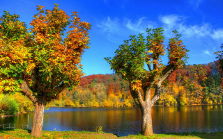 Lake fall colors fence impresionist - the tree and grass free wallpaper