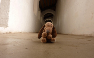 Stuffed animal liminal space cave - narrow free wallpaper