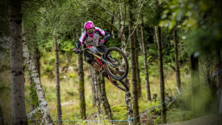 Bike jump woods blurry motion - a woodcut free wallpaper