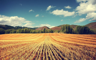 Wheat field mountains clouds sky - fall vibrancy free wallpaper