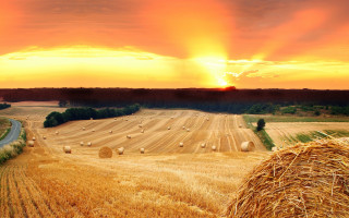 Hay bales sunset road landscape - a field of hay free wallpaper