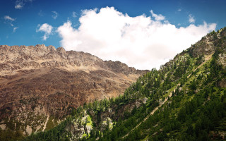 Mountain forest cloudy sky bird - the side of it free wallpaper