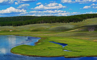 River green field forest hills - alexander brook free wallpaper