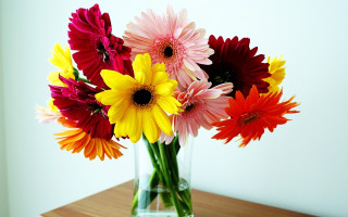 Vase colorful flowers table wall 2 - colorful free wallpaper
