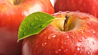 Red apple green leaf water - a green leaf free wallpaper