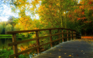 Wooden bridge river autumn leaves - autumn free wallpaper
