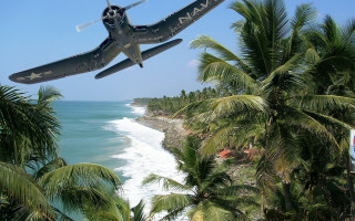 Plane beach palm ocean matte - over a beach free wallpaper