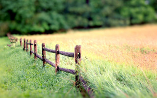 Wooden fence field bokeh bicycle - in a field of grass and trees free wallpaper