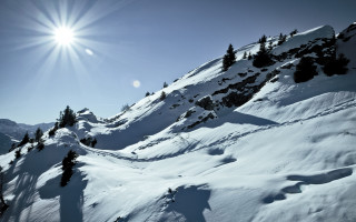 Sunlit snowy mountain trees blue - bernard meninsky free wallpaper
