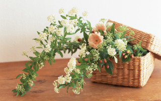 Basket flowers wooden table white - fine foliage lace free wallpaper
