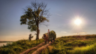 Man horse carriage dirt road - a matte painting free wallpaper