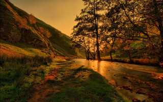 River hillside forest autumn campfire - tree and grass free wallpaper