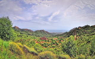 Mountain range forest bushes sky - scenic free wallpaper