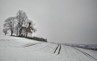 Snowy hill house forest branch - a snowy hill free wallpaper