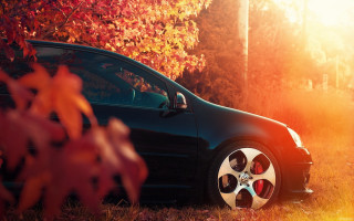 Car field trees autumn leaves - photorealism free wallpaper