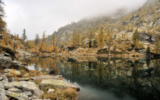 Lake rocks trees mountains fog - the mountain free wallpaper