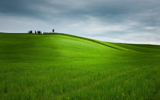 Green field lone tree cloudy 3 - a lone tree free wallpaper