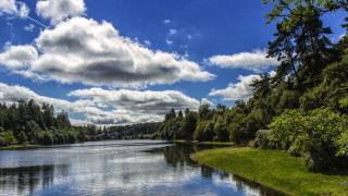 Lake forest shore cloudy sky - alexander johnston free wallpaper