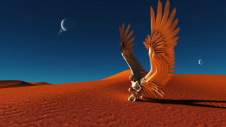 Bird desert crescent moon night - a half moon in the sky free wallpaper