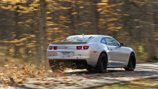 White car forest road sunny 4 - motion blur free wallpaper for desktop