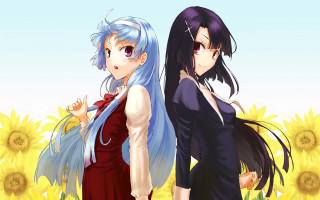 Anime girls sunflowers long hair - a field of sunflowers free wallpaper