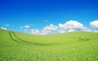 Green field blue sky clouds 36 - a green field free wallpaper for desktop