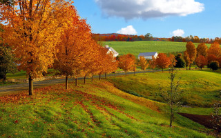Scenic farm road autumn leaves - scenic free wallpaper