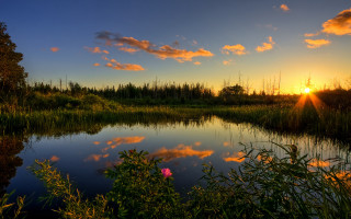 Lake sunset trees clouds autumn 3 - flora macdonald reid free wallpaper