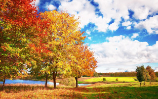Autumn lake trees clouds sky 2 - the foreground free wallpaper