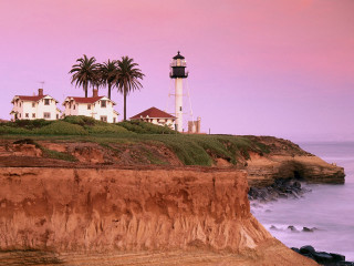 Lighthouse cliff ocean beach palm - the ocean and a beach free wallpaper