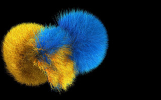 Colorful fireworks raytraced sunflower yellow - ray free wallpaper
