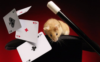 Mouse chair playingcards pen envelop - david annand free wallpaper