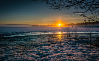Sunset water trees bushes matte - a few bush free wallpaper