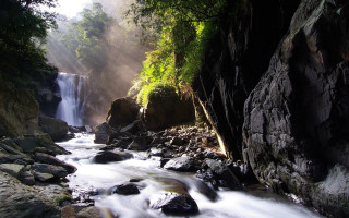 Forest stream waterfall mountain light - a stream of water free wallpaper