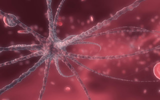Red cell microscopic neoplasticism biopunk - biopunk free wallpaper