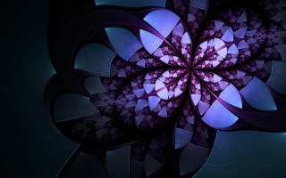 Purple blue flower black white - image of a flower free wallpaper