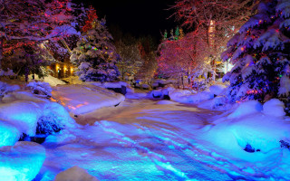 Snowy path lights trees night - covered ground free wallpaper
