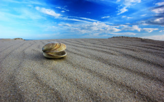 Shell beach blue sky clouds - wispy free wallpaper