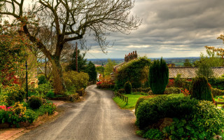 Road tree bushes house landscape - a house in the distance free wallpaper