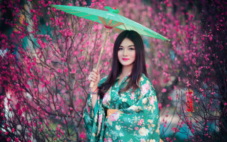 Woman kimono umbrella cherryblossoms spring 2 - a woman in a kimono holding free wallpaper