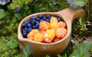 Wooden spoon berries garden nature - akseli gallenkallela free wallpaper