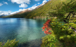 Red tree lake mountains blue 2 - mountain and trees free wallpaper