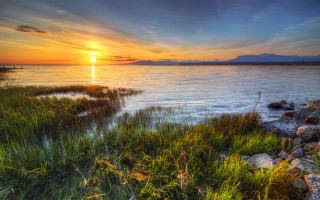 Sunset water boat shore grass - a boat in the distance free wallpaper