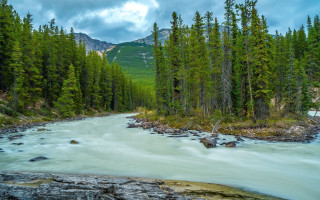 River forest rocks pine trees - alexander brook free wallpaper