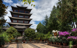 Pagoda garden potted plants flower - an zhengwen free wallpaper