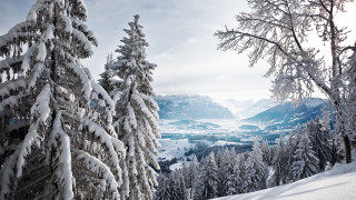 Snowy mountain forest valley horizon - the distance free wallpaper