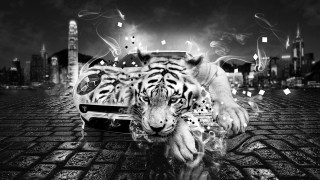 Tiger running smoke car destruction - a tiger free wallpaper